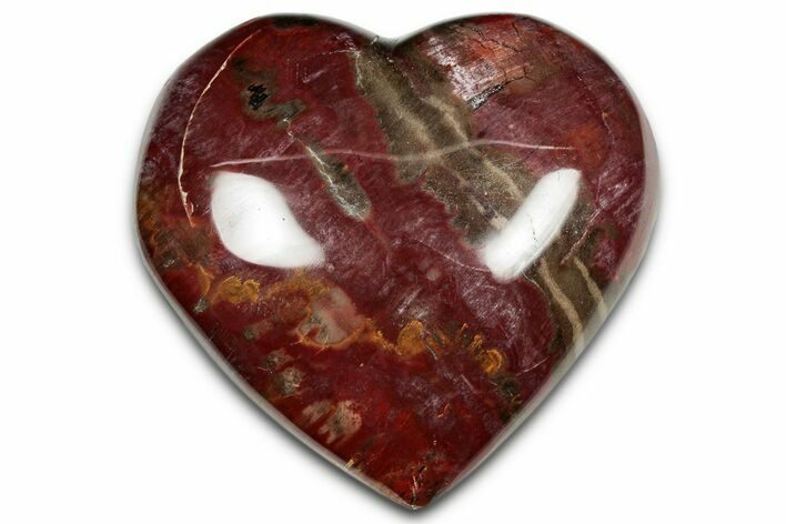 Polished Triassic Petrified Wood Heart - Madagascar #355579